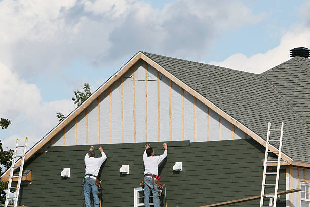 Best Stone Veneer Siding  in Adrian, MN